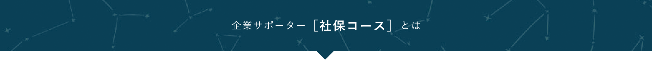 企業サポーター　社保コースとは