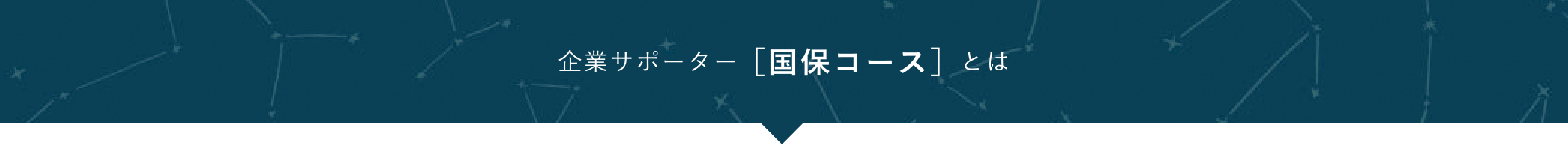 企業サポーター　国保コースとは