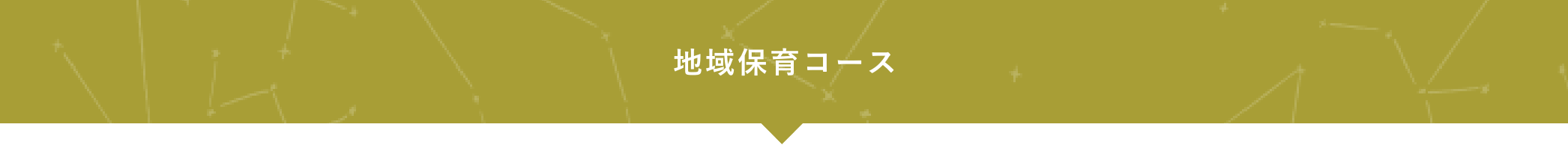 地域保育コースとは